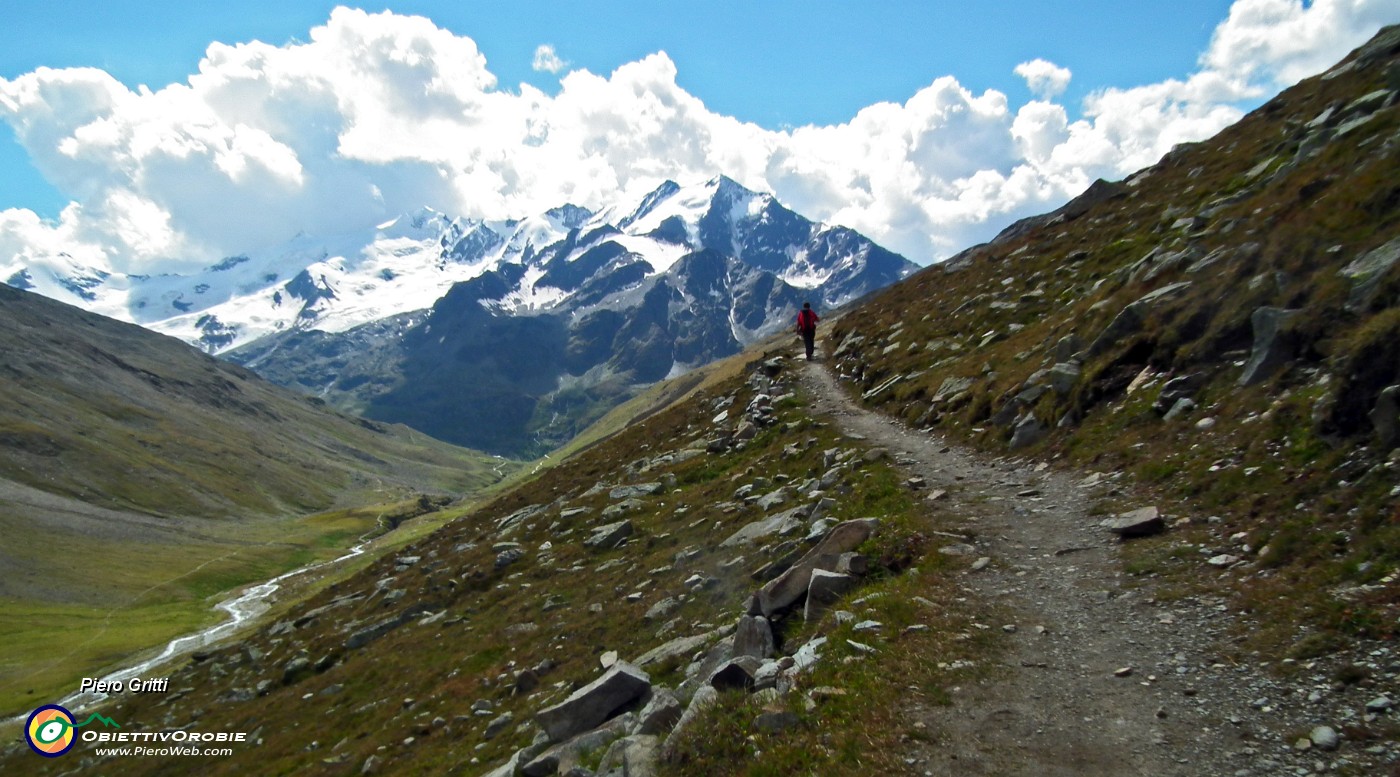 155 Scendiamo per il Sentiero panoramico, alto.JPG